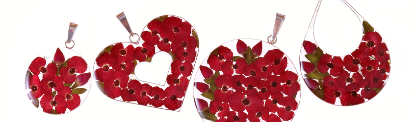 San Marco Red flowers Banner