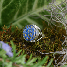 Blue Mexican Flowers Round  Ring