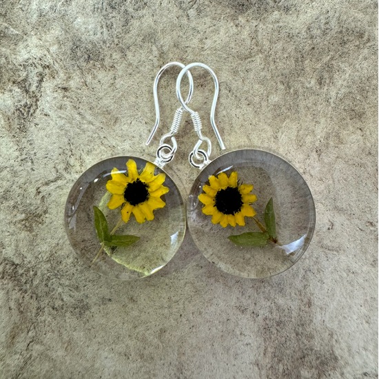 Yellow Mexican Sunflowers Round Medium Hook Earrings