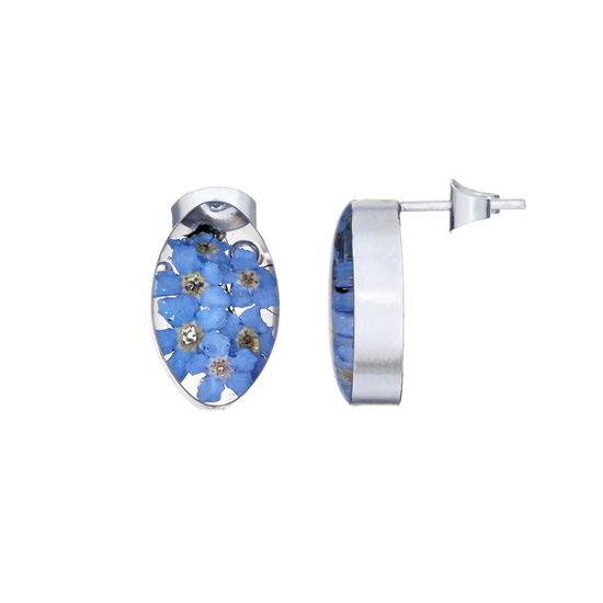 Blue Mexican Flowers Seed Small Stud Earrings
