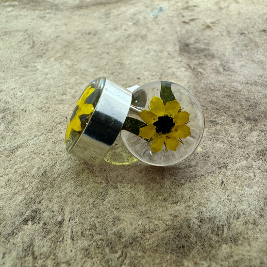 Yellow Mexican Sunflowers Round Small Stud Earrings 